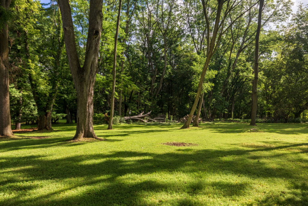 166 Moseley Rd, Fairport, NY 14450 2 Mature trees and wooded backyard at 166 Moseley Road in Fairport, NY.