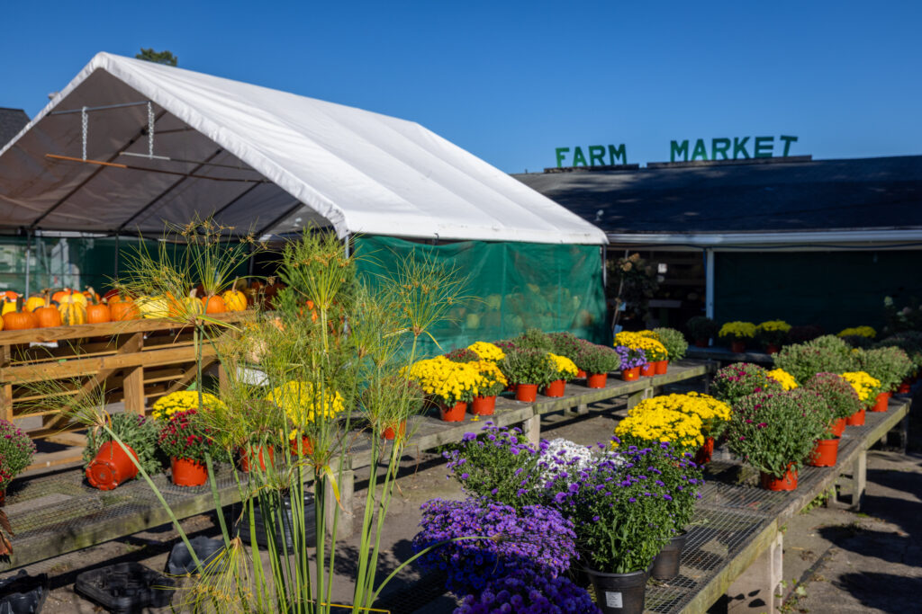 112 Burrows Hills Dr, Rochester, NY 14625 3 Flowers and seasonal displays outside Gentle’s Farm Market on Penfield Road